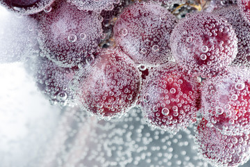 soap bubbles in the water