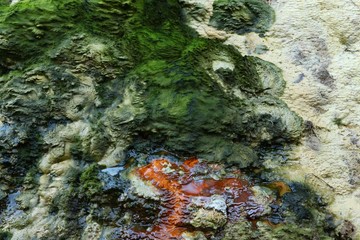 Old White stone wall with green moss texture background