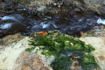 Old White stone wall with green moss texture background