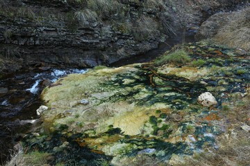 Old White stone wall with green moss texture background