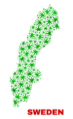 Vector marijuana Sweden map collage. Concept with green weed leaves for marijuana legalize campaign. Vector Sweden map is composed with weed leaves.