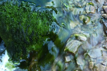 Old White stone wall with green moss texture background