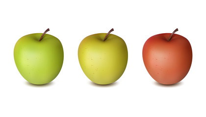 Three apples isolated on white background. Red, yellow and green realistic fruits with shadows. 3D vector illustration, mockup, template for ads, promo, logo, icon, magazine, poster, page, web design.