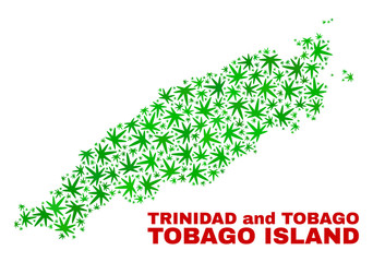 Vector cannabis Tobago Island map mosaic. Template with green weed leaves for cannabis legalize campaign. Vector Tobago Island map is created with cannabis leaves.