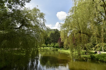 Les arbres à feuillage pendant jusque dans l'eau du chenal principal au domaine provincial de Vrijbroekpark à Malines