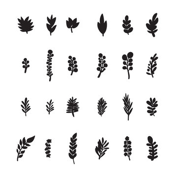 Collection of hand drawn branches on white background, vector eps8 illustration