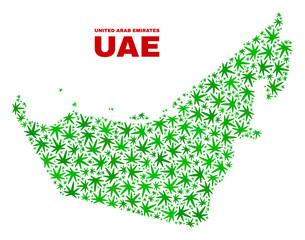 Vector cannabis United Arab Emirates map mosaic. Concept with green weed leaves for cannabis legalize campaign. Vector United Arab Emirates map is designed from cannabis leaves.