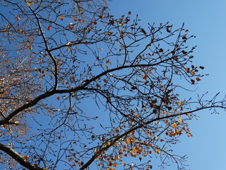 Природа