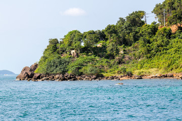 Naklejka premium sea