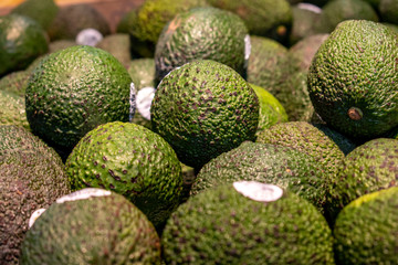 Green Avocados