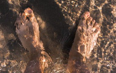 Top view foot of young man stand alone in water on beach background