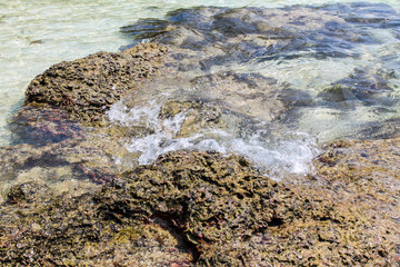 sea