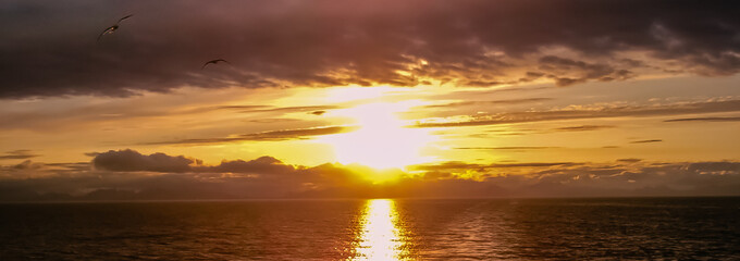 Midnight sun over the Norwegian Sea with seagulls