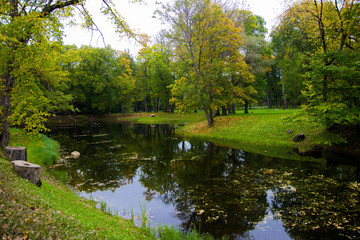 summer river with green trees