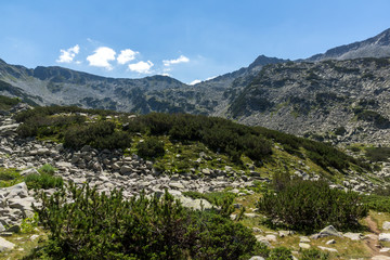 Fototapeta premium Summer landscape of Muratov peak and mountain river, Bulgaria