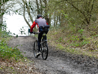 Fototapeta na wymiar Mountain bike rider on woodland path