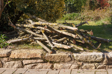 Heap of branch in a garden after trimming a tree