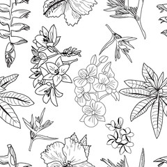 Fototapeta premium Vector pattern of hand drawn exotic tropical flowers, leaves, jungle plants.