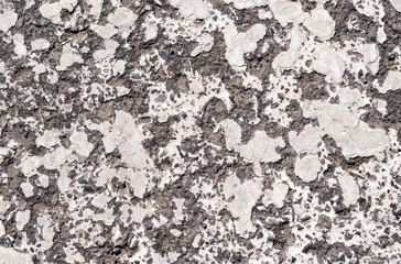 White Paint on Pavement (detail)