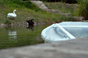 old white boat on the lake near the pier. Swans on the shore in the background.