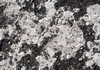 White Paint on Pavement (macro)