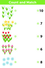 Counting educational game for preschool kids. Vector spring flower: snowdrops, tulips, narcissus, crocus and daisy. Count and match - worksheet for children.