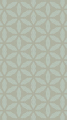 Fototapeta premium Ornate geometric pattern and two-tone abstract background