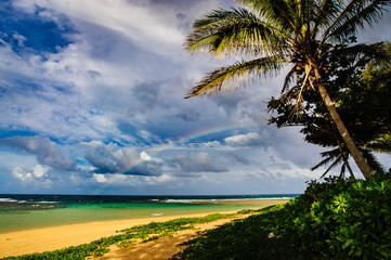 Beautiful Tropical photos beach