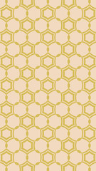 Ornate geometric pattern and two-tone abstract background