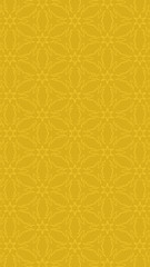 Ornate geometric pattern and two-tone abstract background