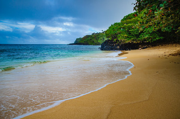 Beautiful Tropical photos clear beach