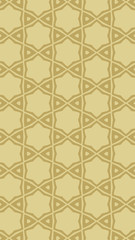 Ornate geometric pattern and two-tone abstract background