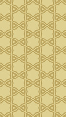 Ornate geometric pattern and two-tone abstract background