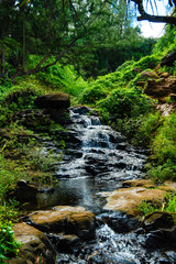 Fototapeta premium Beautiful Tropical photos lush waterfall