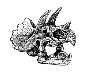 Graphical skull of triceratops isolated on white,vector sketch for tattoo and printing,paleontology © Алексей Воробьёв