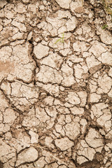 dry cracked earth