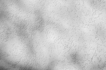 Rubbing wall of the house with the shadow of trees. Sunny day