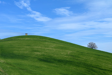green field and blue sky,spring,countryside,rural,agriculture,hill,landscape,view