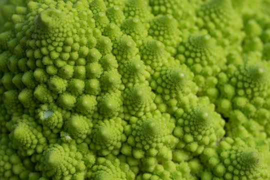 The Self Similar Form of the Romanesco Broccoli Vegetable © LaSu