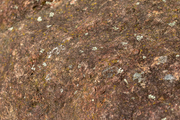 Surface of a red stone in nature