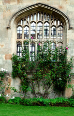 Fototapeta na wymiar the architecture of the student city of Cambridge,