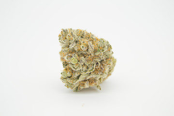 Tropicana Cookies 4