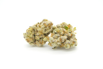Tropicana Cookies 7