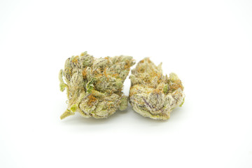 Tropicana Cookies 8