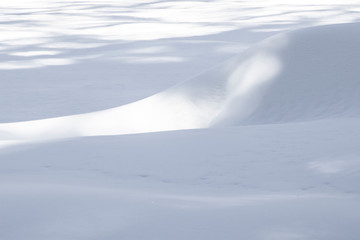 pattern of snow in the Sequoia national park