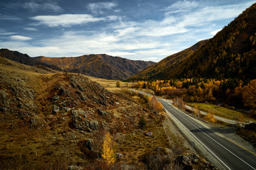 Asphalt road to the mountains of Altai passing through the autumn landscape