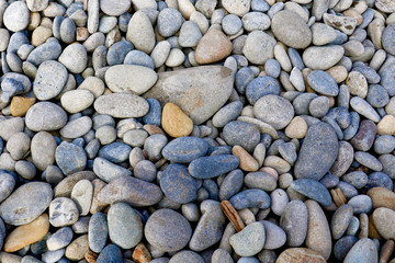 Background with different color sea stones. Background