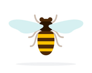 Bee front view flat isolated