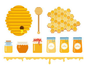 Glass jars with honey, a honey hive, honey wooden scoop, honeycomb and a honey layer with streaks flat isolated
