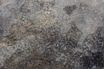 texture of wet dusty asphalt